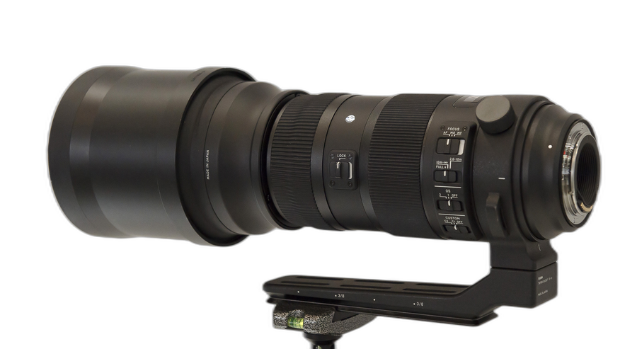 Sigma 150–600 mm F5–6.3